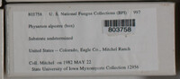 Image Associated With the Occurence